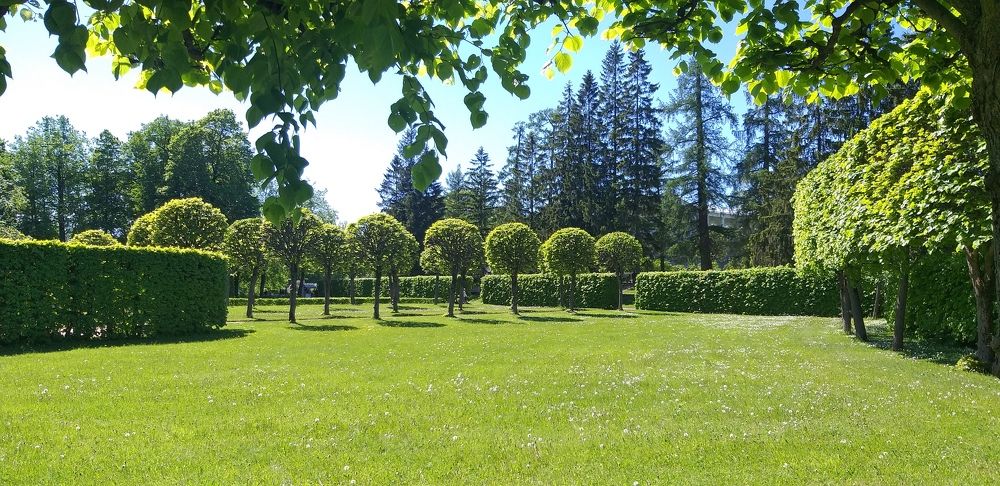 Photograph by Лейсан