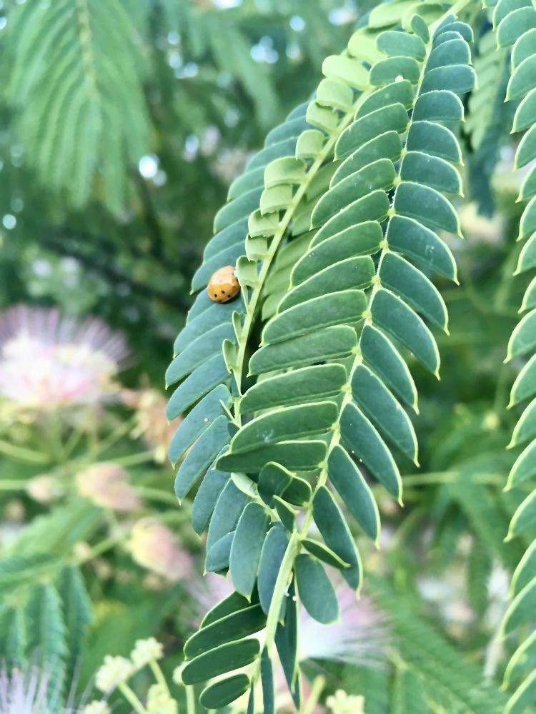 Фотография автора Ксения