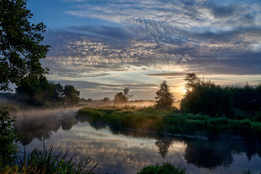 Photograph by Шелепнёва Лина