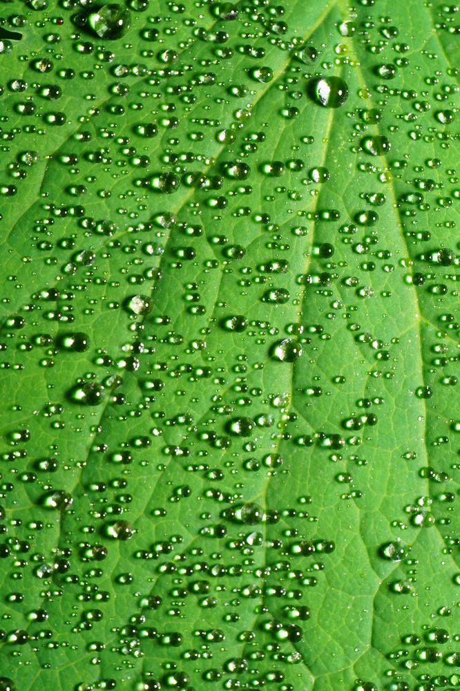 Photograph by Sergios  Kozmidis