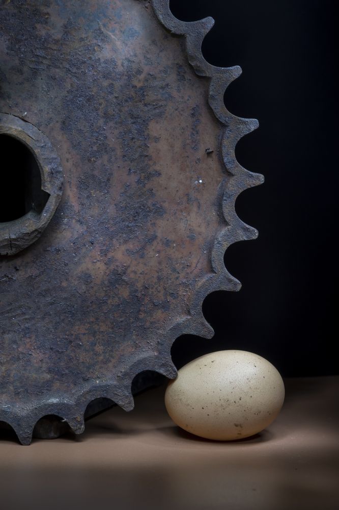 Photograph by Margarita