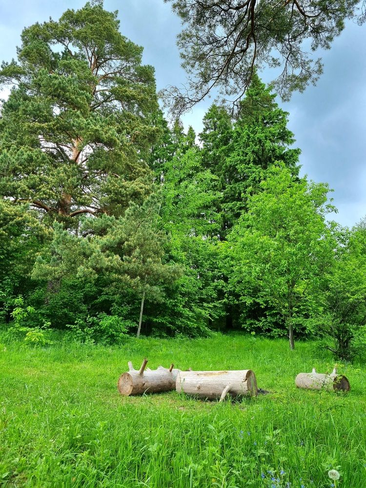 Photograph by Ангелина Шикина