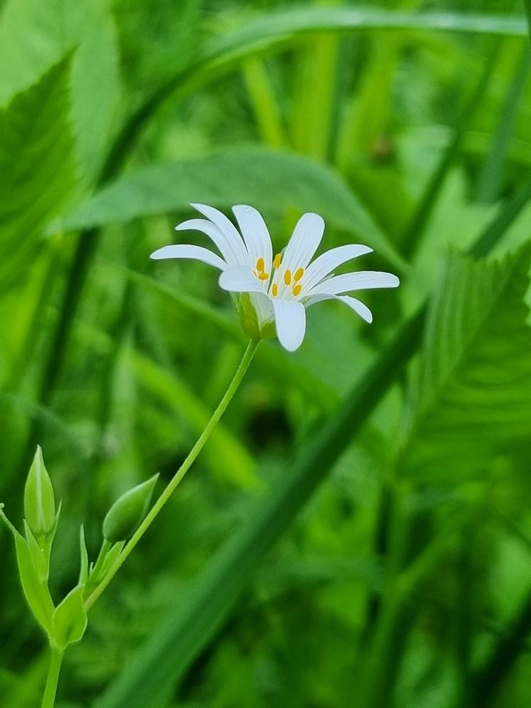 Photograph by Ангелина Шикина