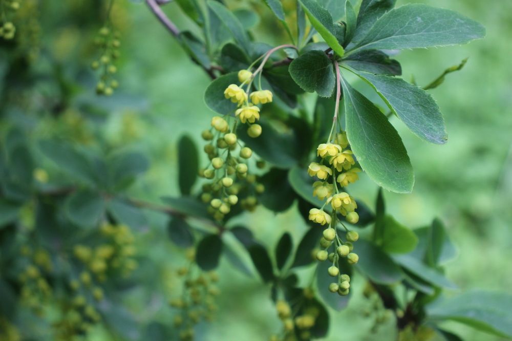 Photograph by Валентина