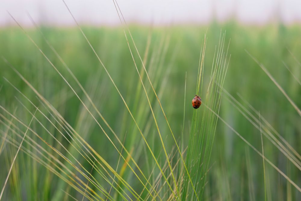 Photograph by Юлия Морозова