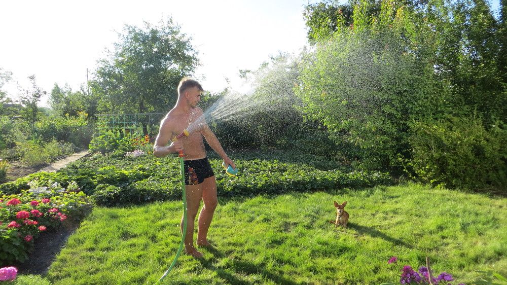 Photo #7974919