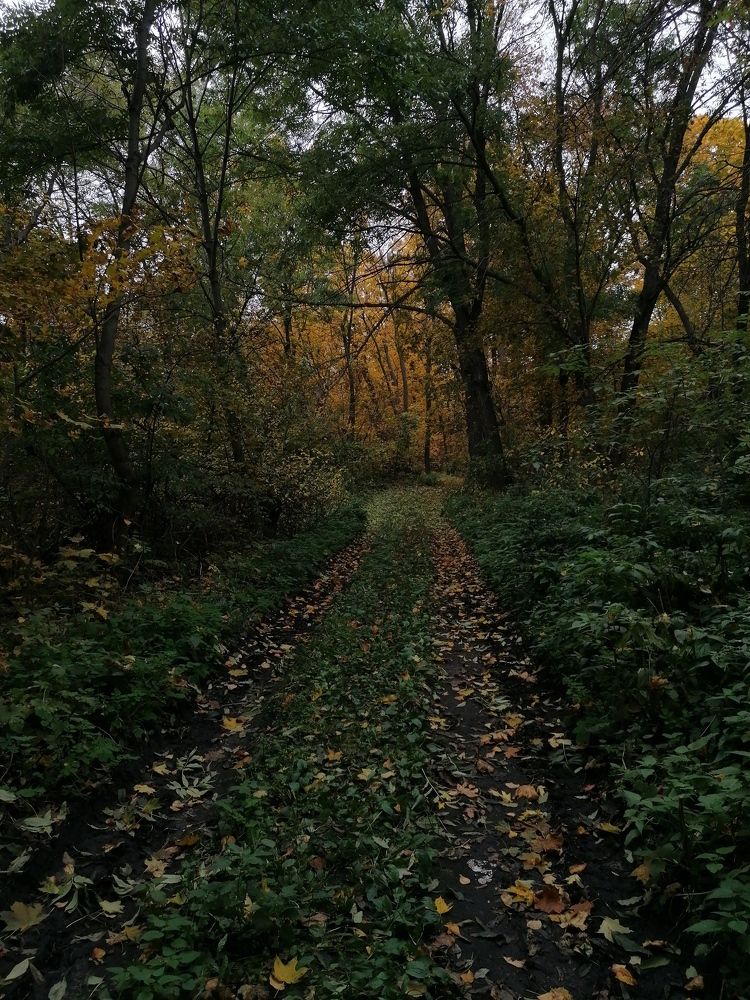 Photograph by Алина