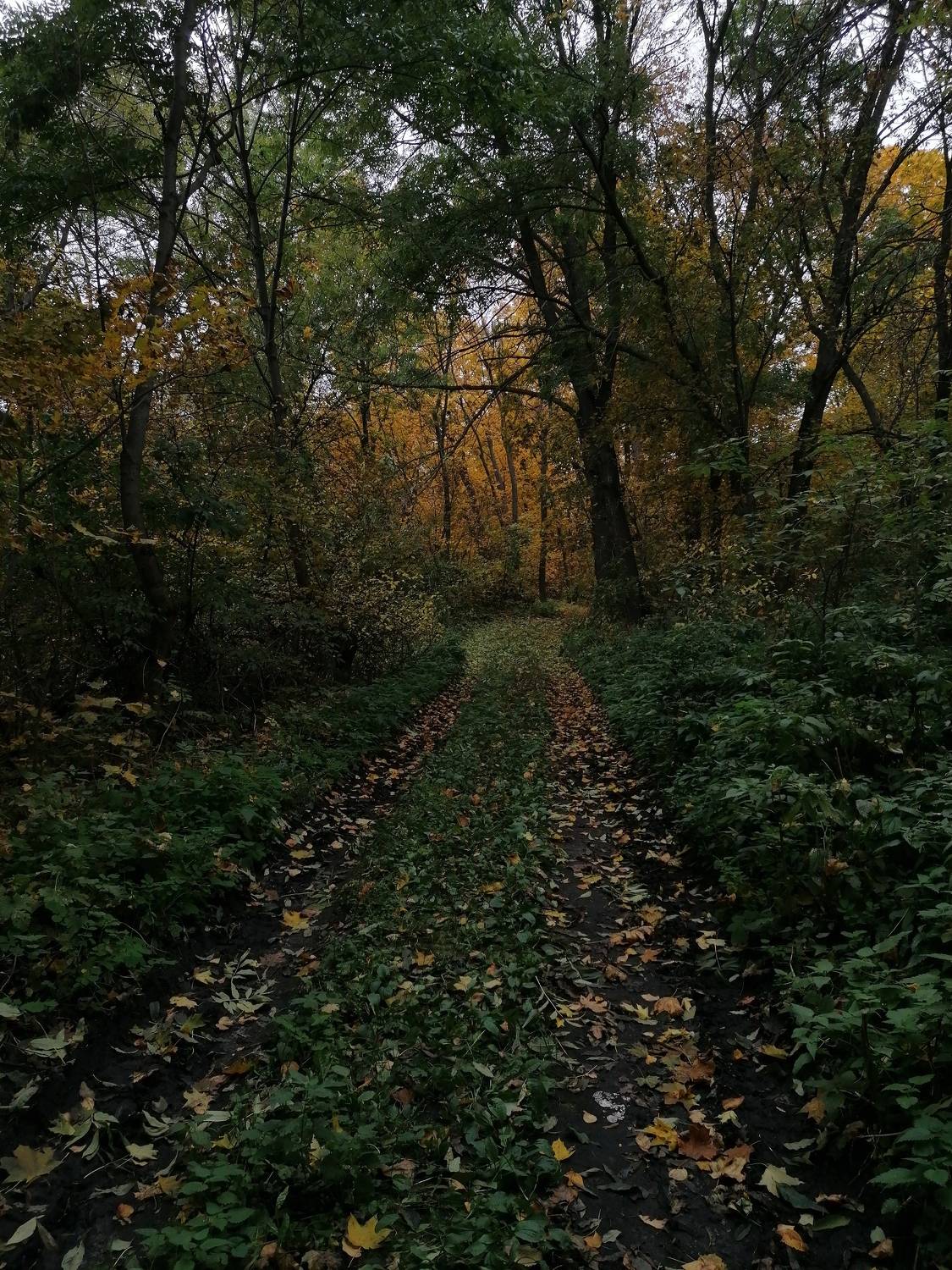 Photo #7974927