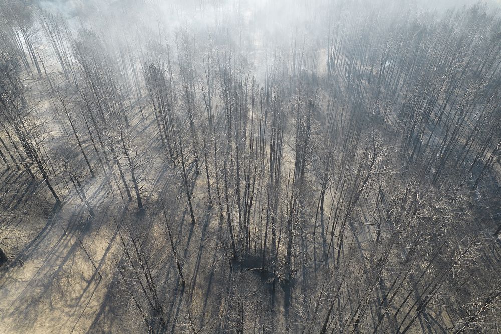 Photograph by Алексей Семенихин