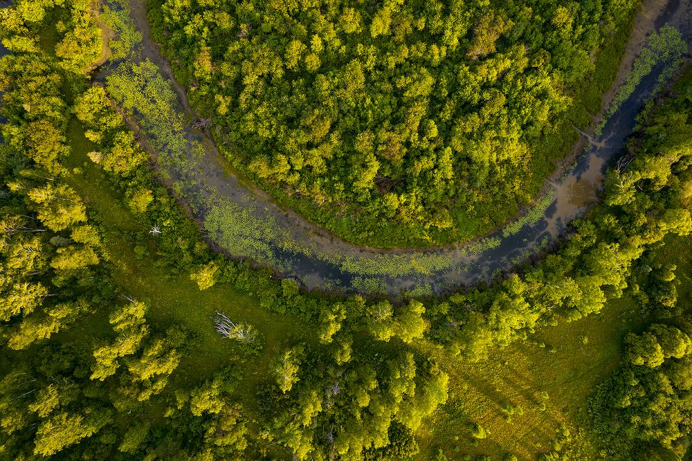 Photograph by Алексей Семенихин