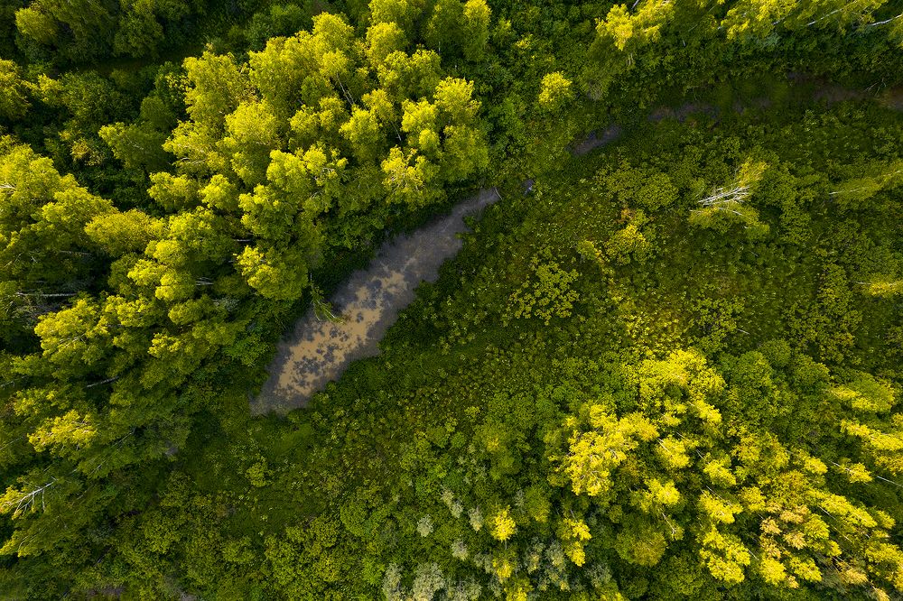 Photograph by Алексей Семенихин