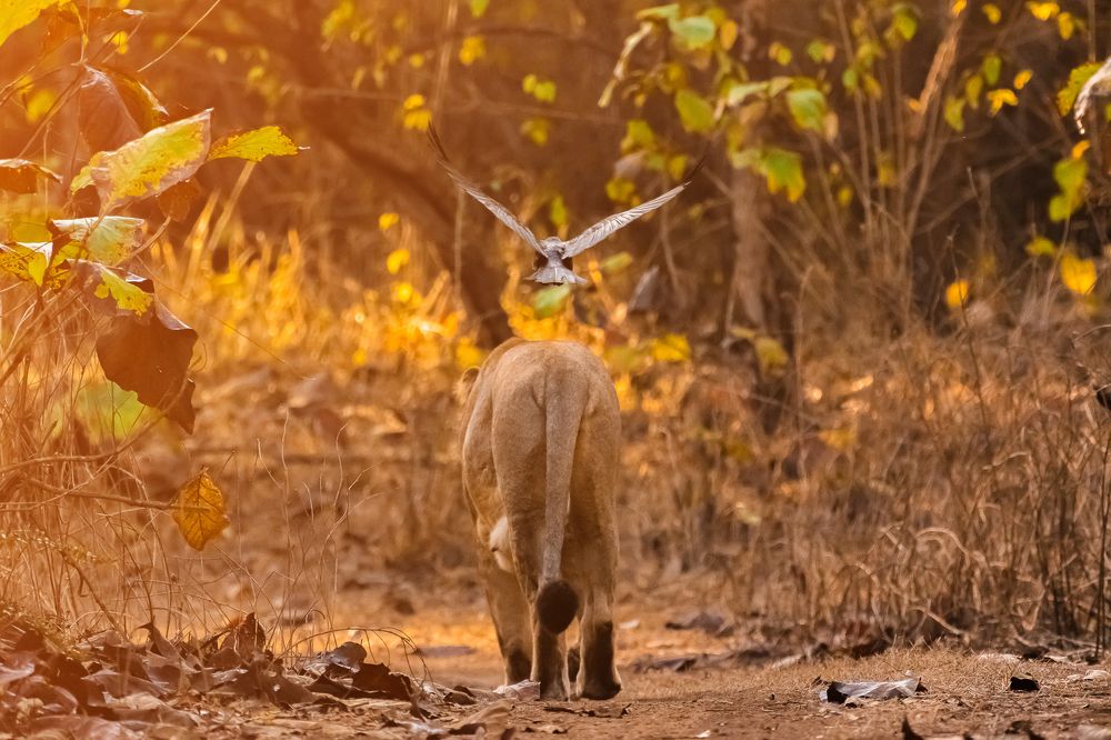 Фотография автора Sunny Vaghadia