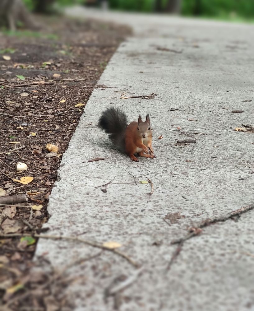 Photograph by Татьяна Панченко