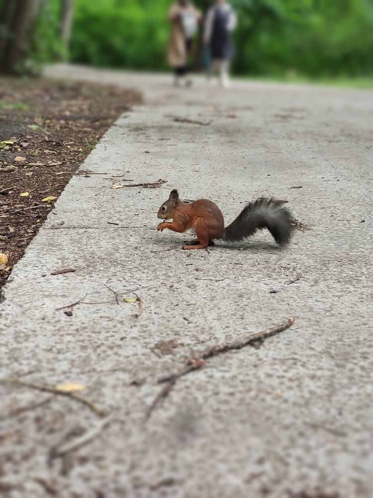 Photograph by Татьяна Панченко