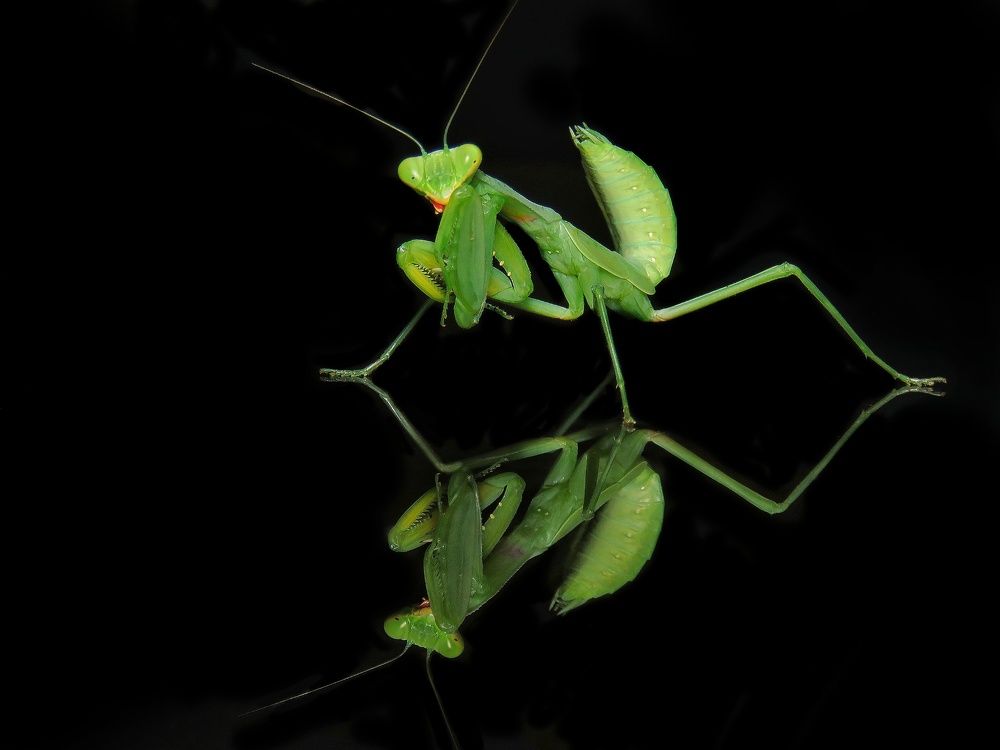 Photograph by Amin Ghaffarian