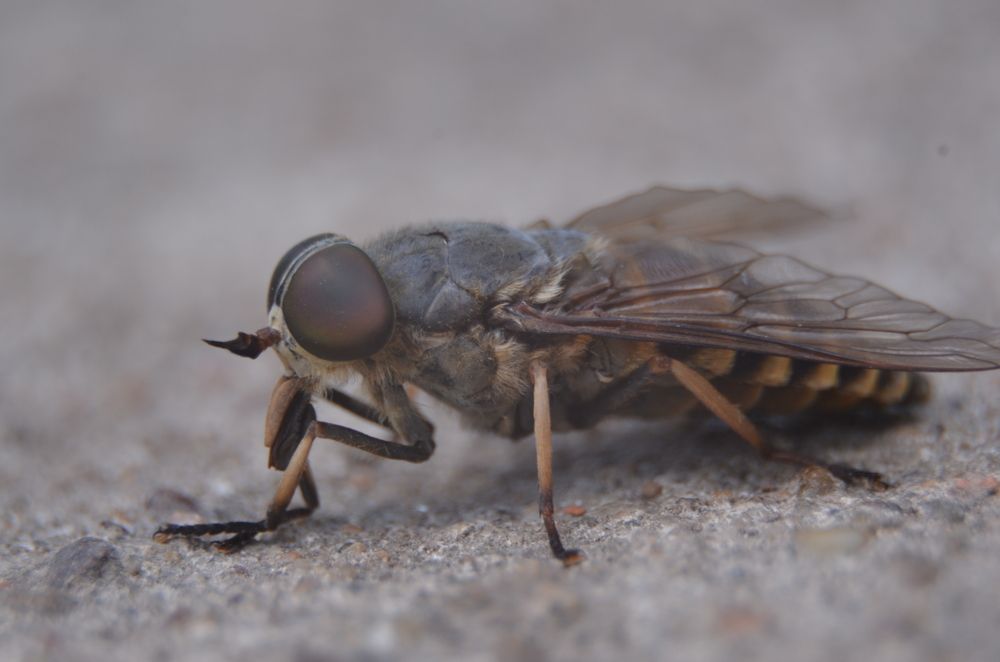 Photograph by Ольга Зиновьева