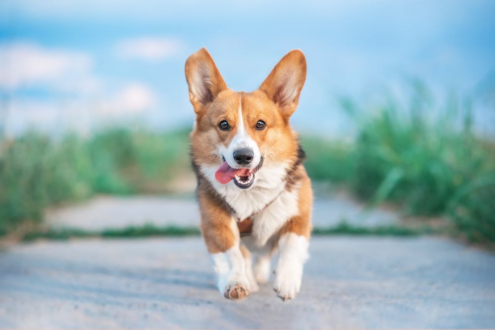 Photograph by Надежда Гдалевич