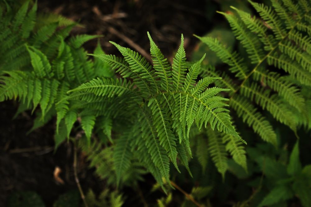 Photograph by Анна Вербилова