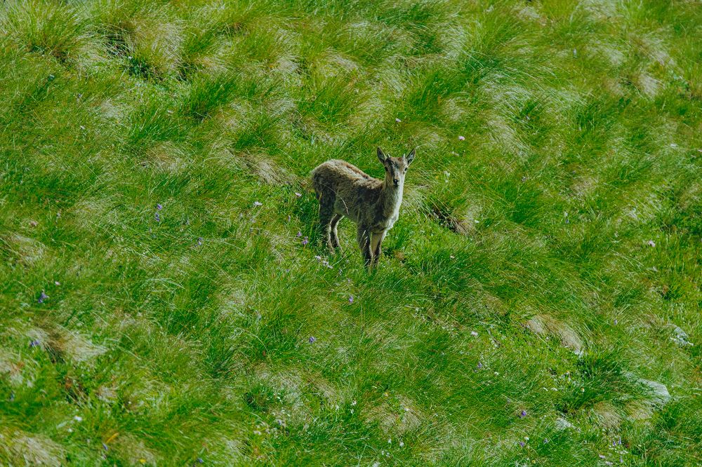 Фотография автора Алексей Новиков