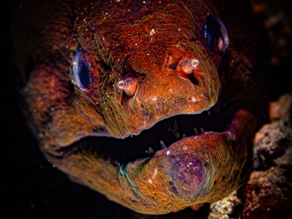 Photograph by Alexander Plakida