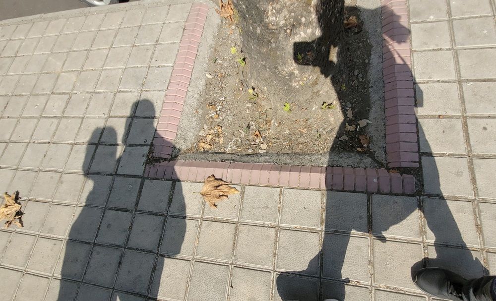 Photograph by Rahele Almassi