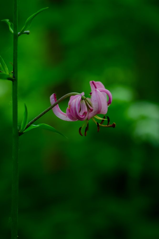 Photograph by Юлия Мулданин