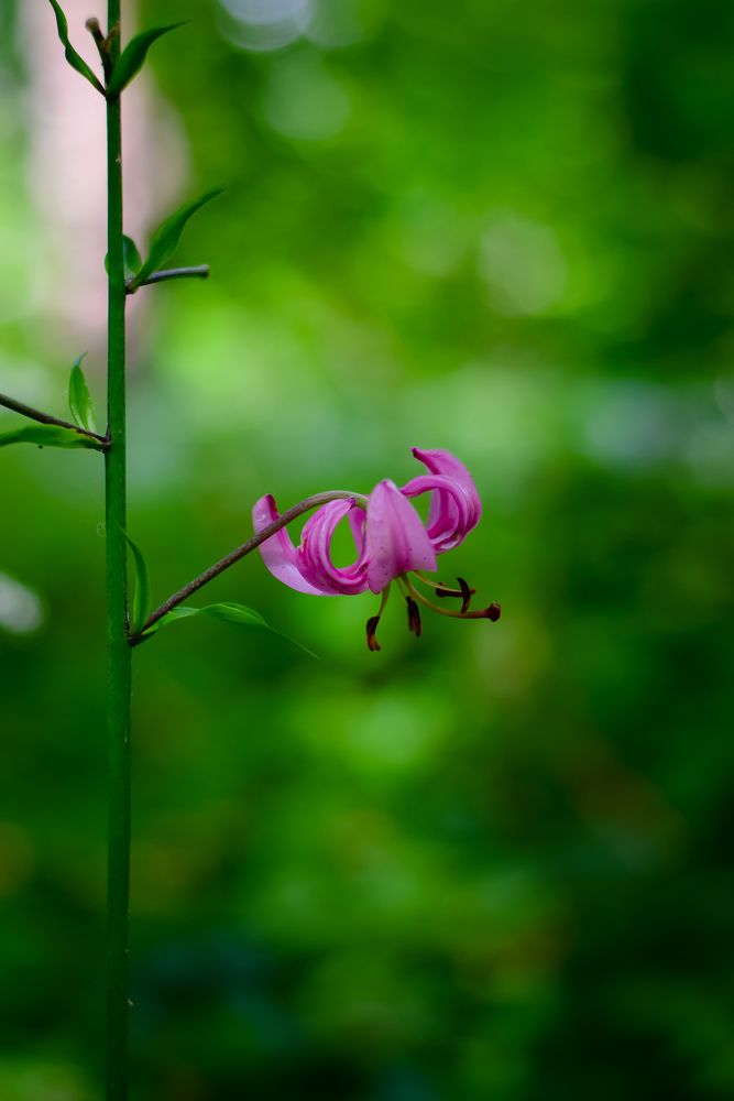 Photograph by Юлия Мулданин