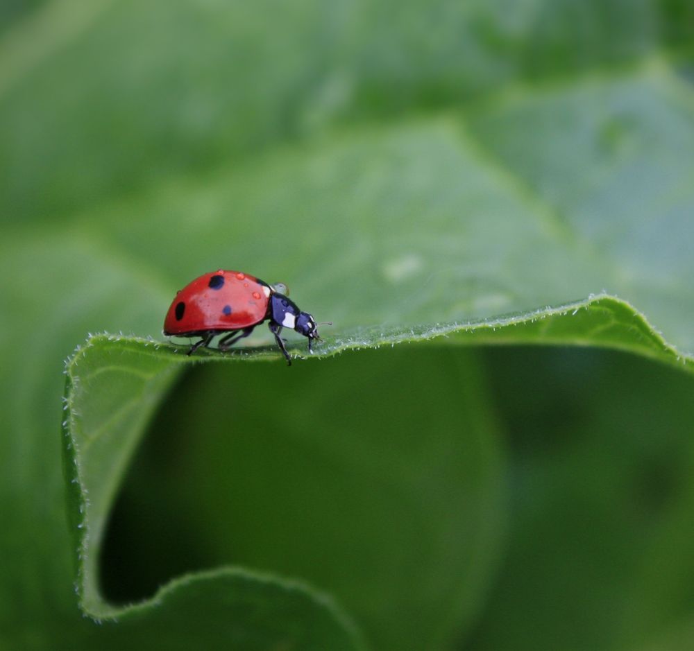 Photograph by Анна Валерьевна