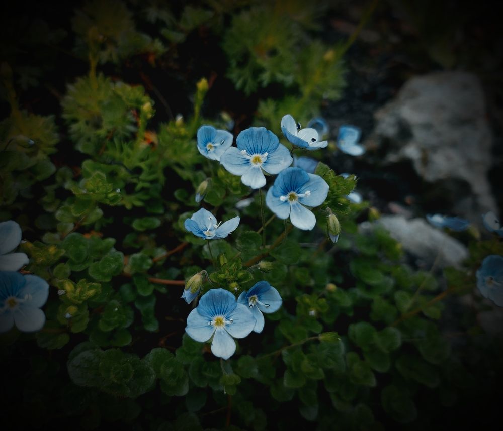 Photograph by Ирина Половцева