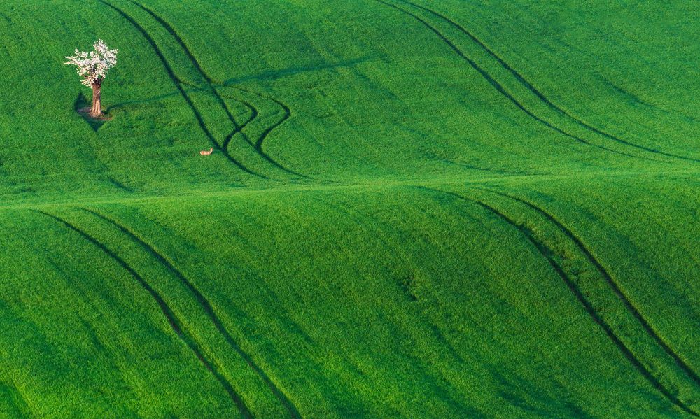 Photograph by Влад Соколовский