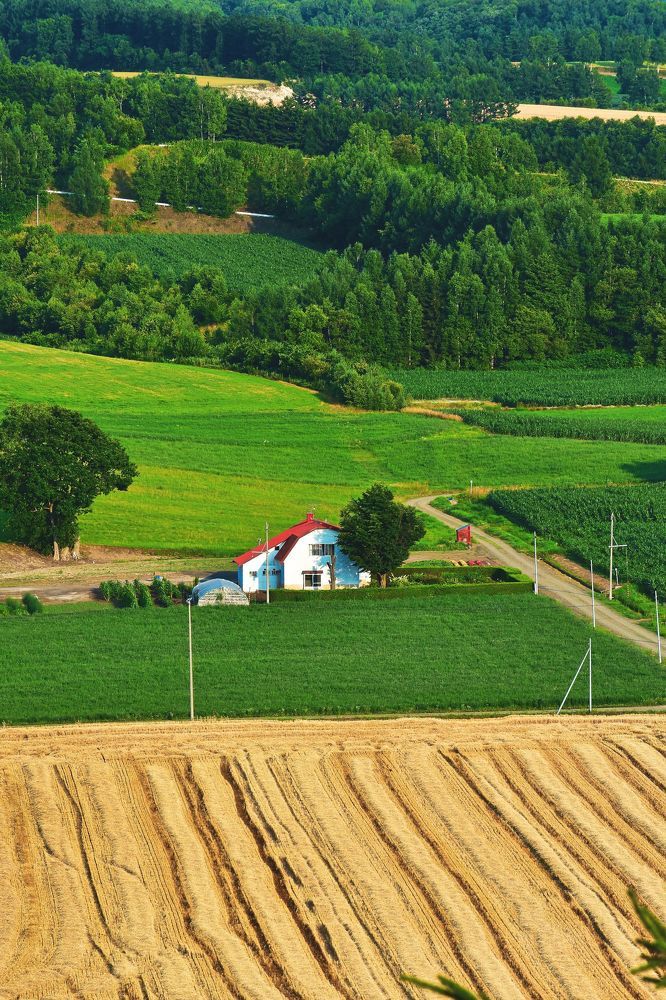 Фотография автора Sen Abhijit