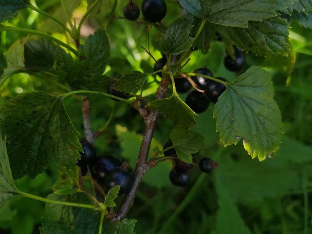 Photograph by Ekaterina Kozlova