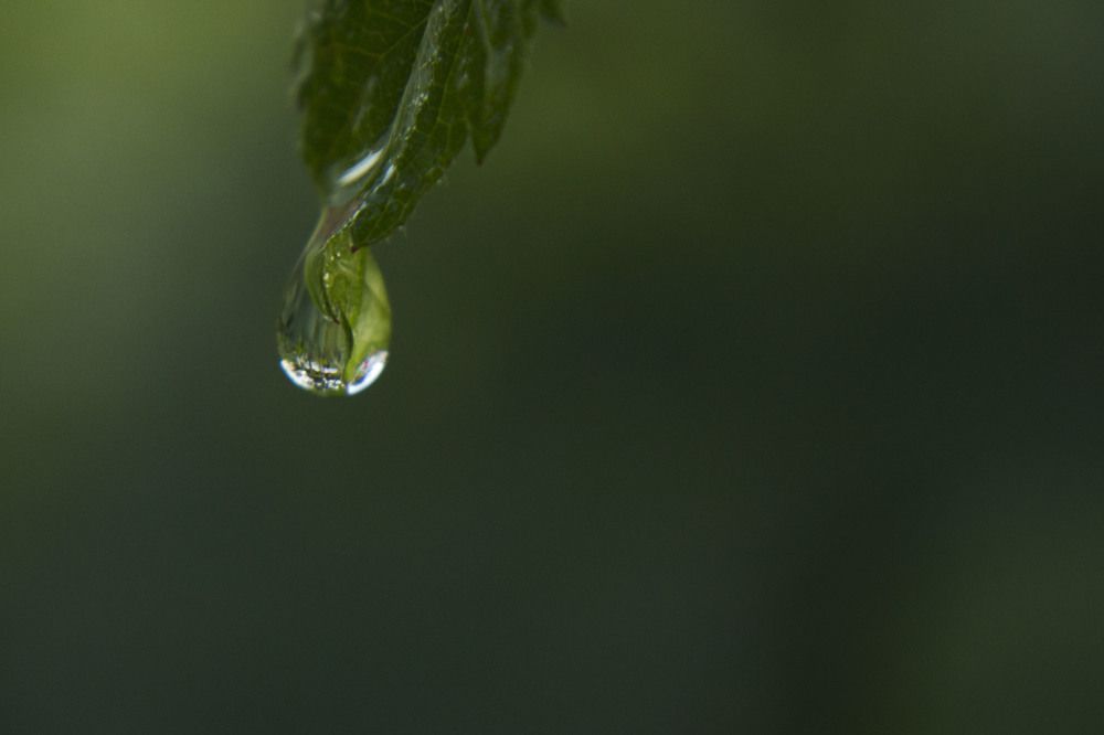 Photograph by Наталья Романова