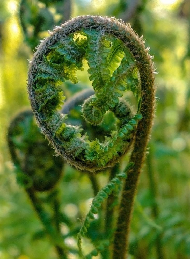 Photograph by IRINA KORNEVA