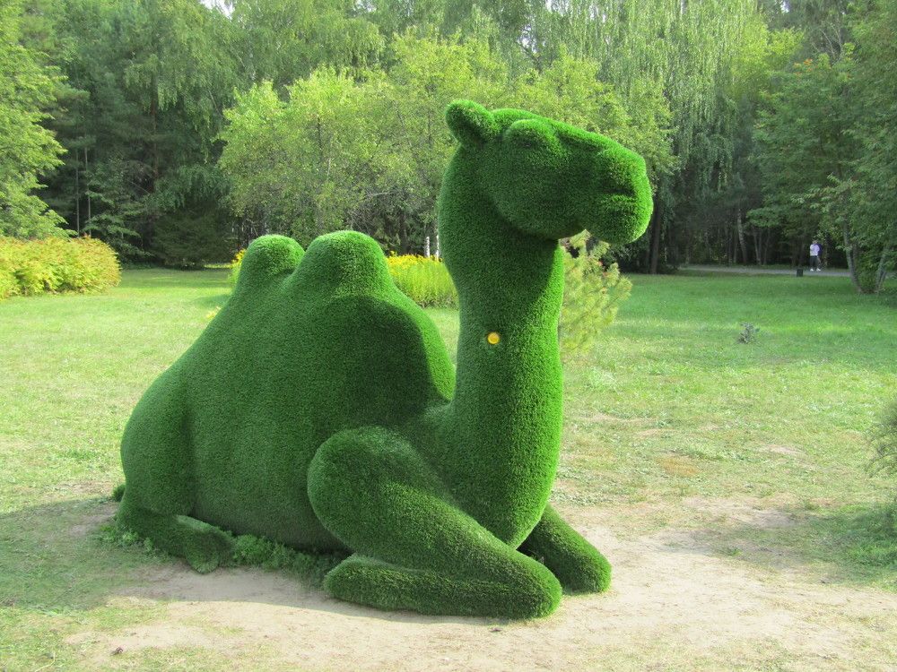 Photograph by Николай Худяков