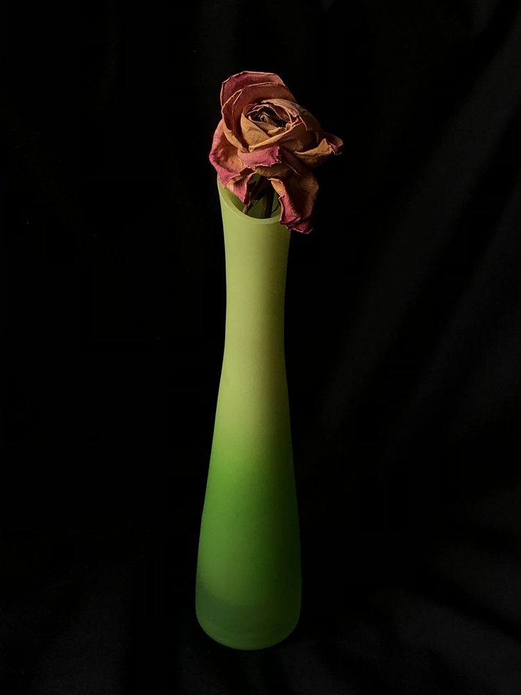 Photograph by Liubov