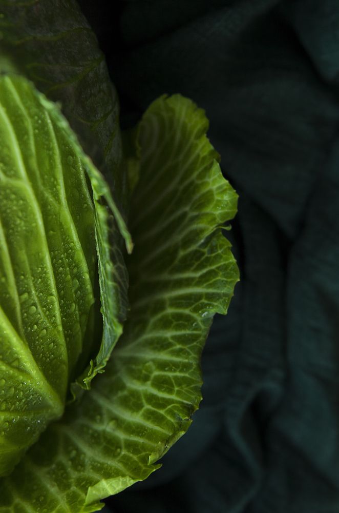 Фотография автора Лариса Кисурина