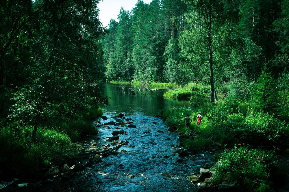 Photograph by Мария Катасонова