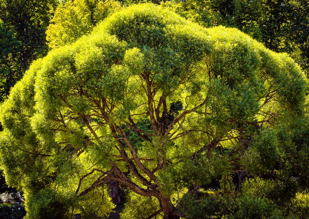 Photograph by Sergey