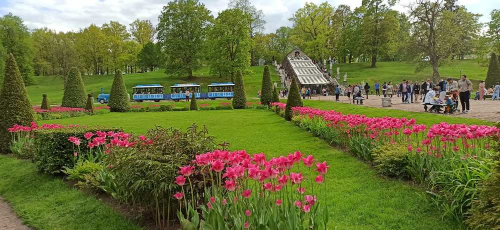 Photograph by Светлана Батурова