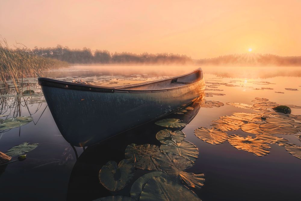 Photograph by Budyta Dariusz