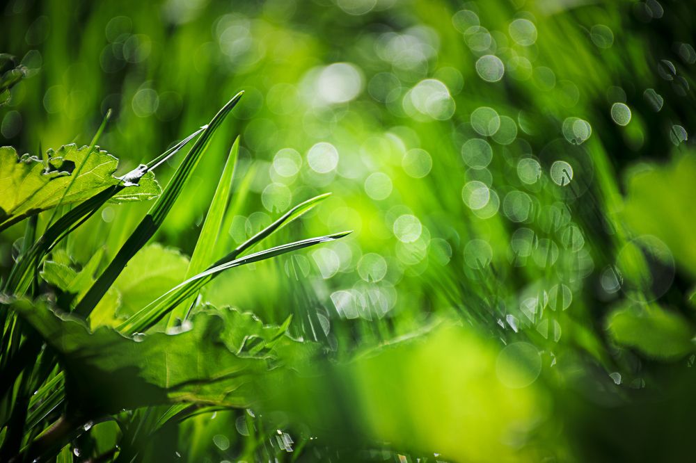 Photograph by Behzad Jourabchi Bokharaei