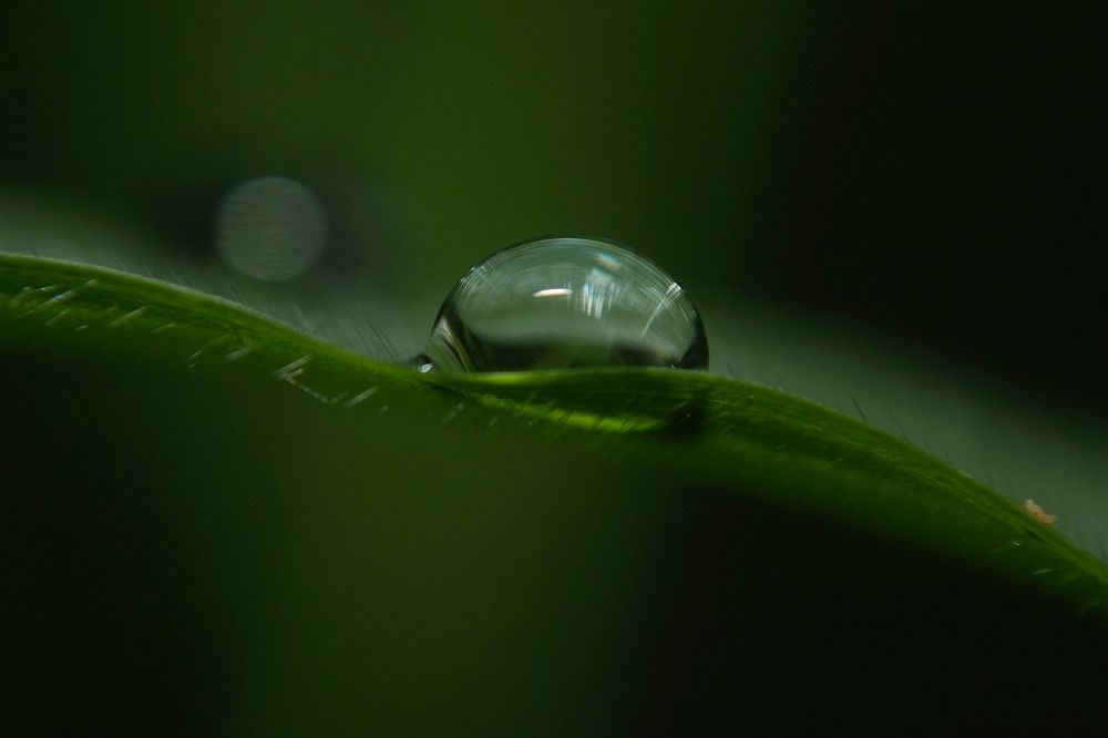 Photograph by bahrul elmi