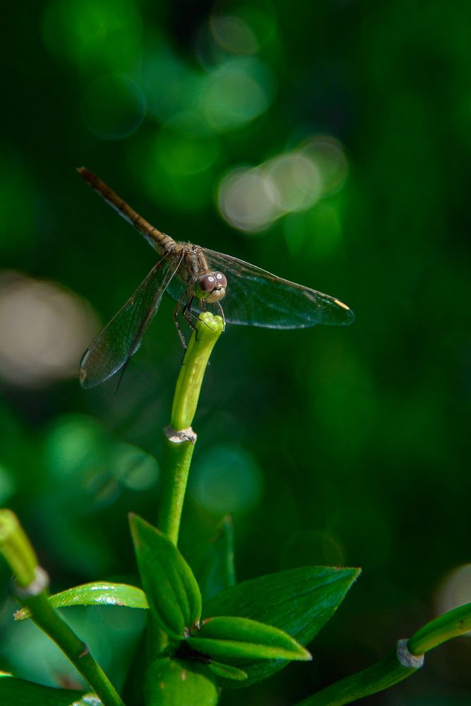 Photograph by Ксения Щербань