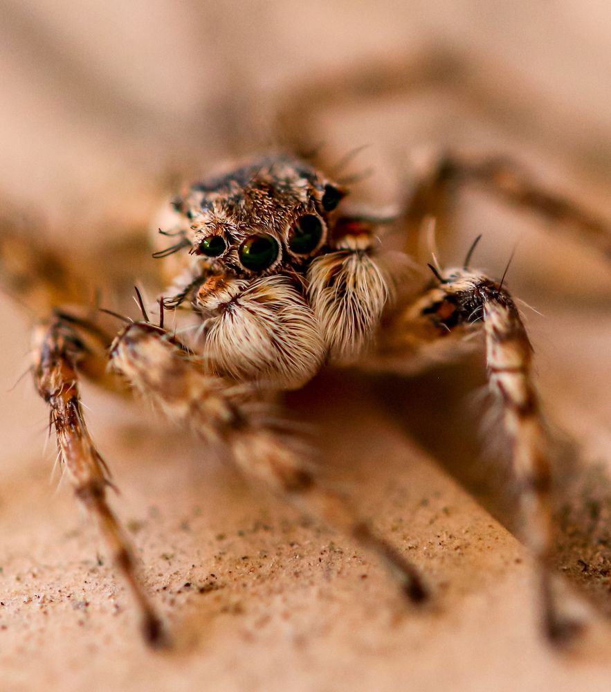 Photograph by Оксана Сафина