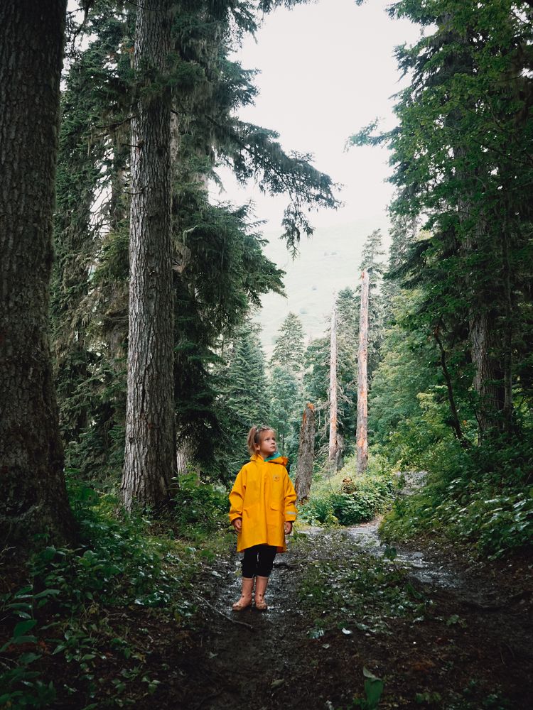 Photograph by Юлия Скиба