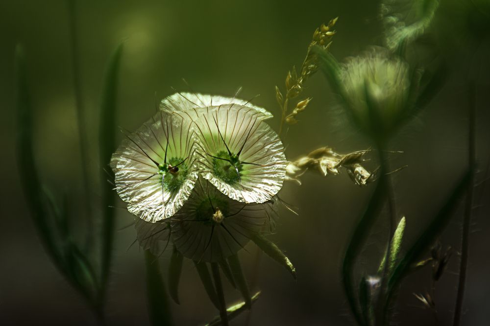 Photograph by Behzad Jourabchi Bokharaei