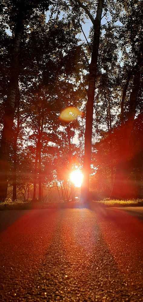 Photograph by Евгения Ульянова