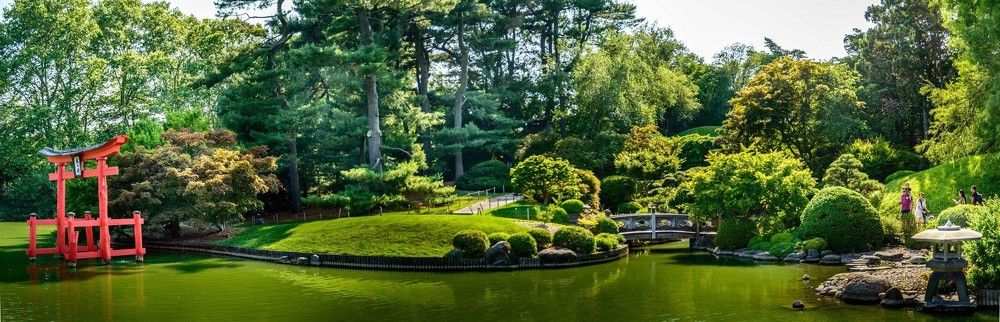 Photograph by Aleksandr Vaysberg