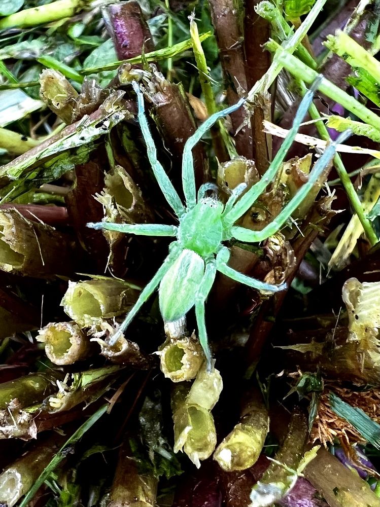 Photograph by Надежда Золотарёва